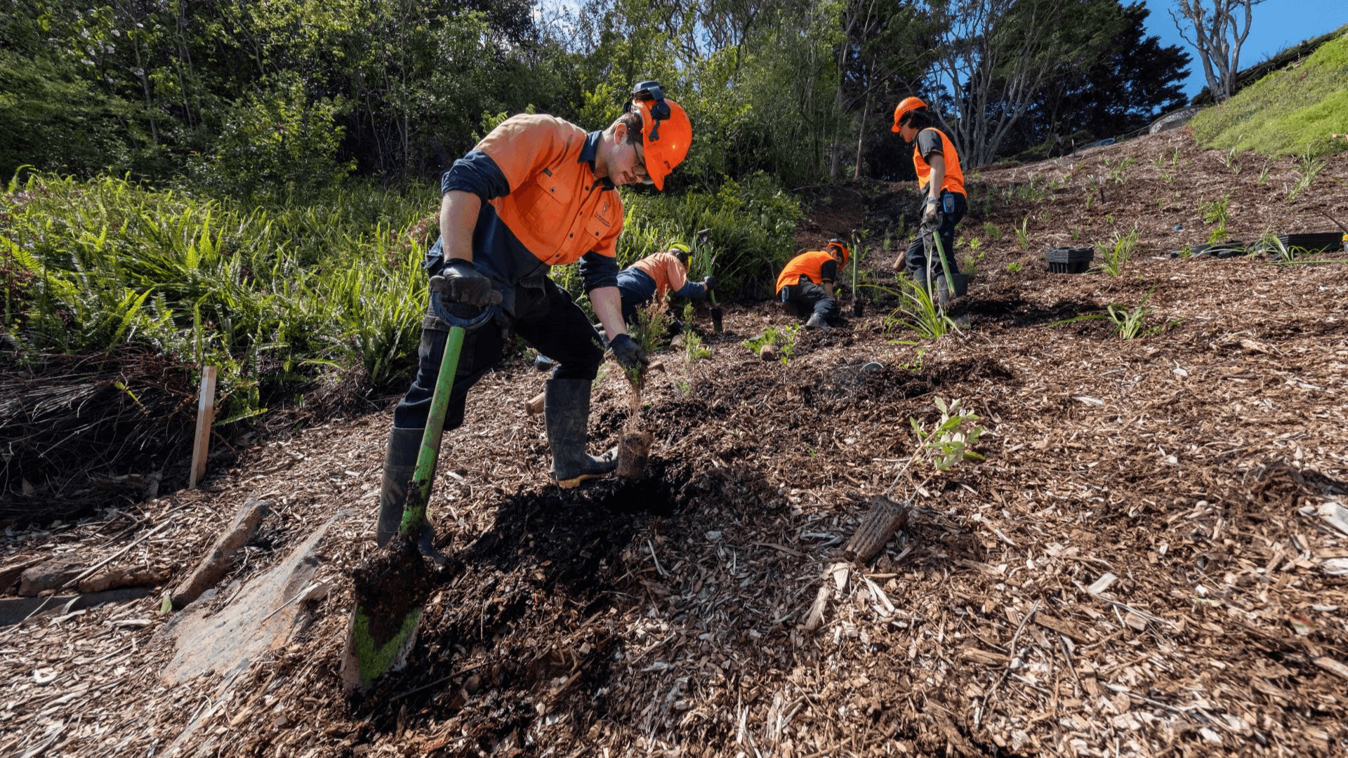 Watercare open day offers behind-the-scenes look at $95 million water infrastructure upgrade cover