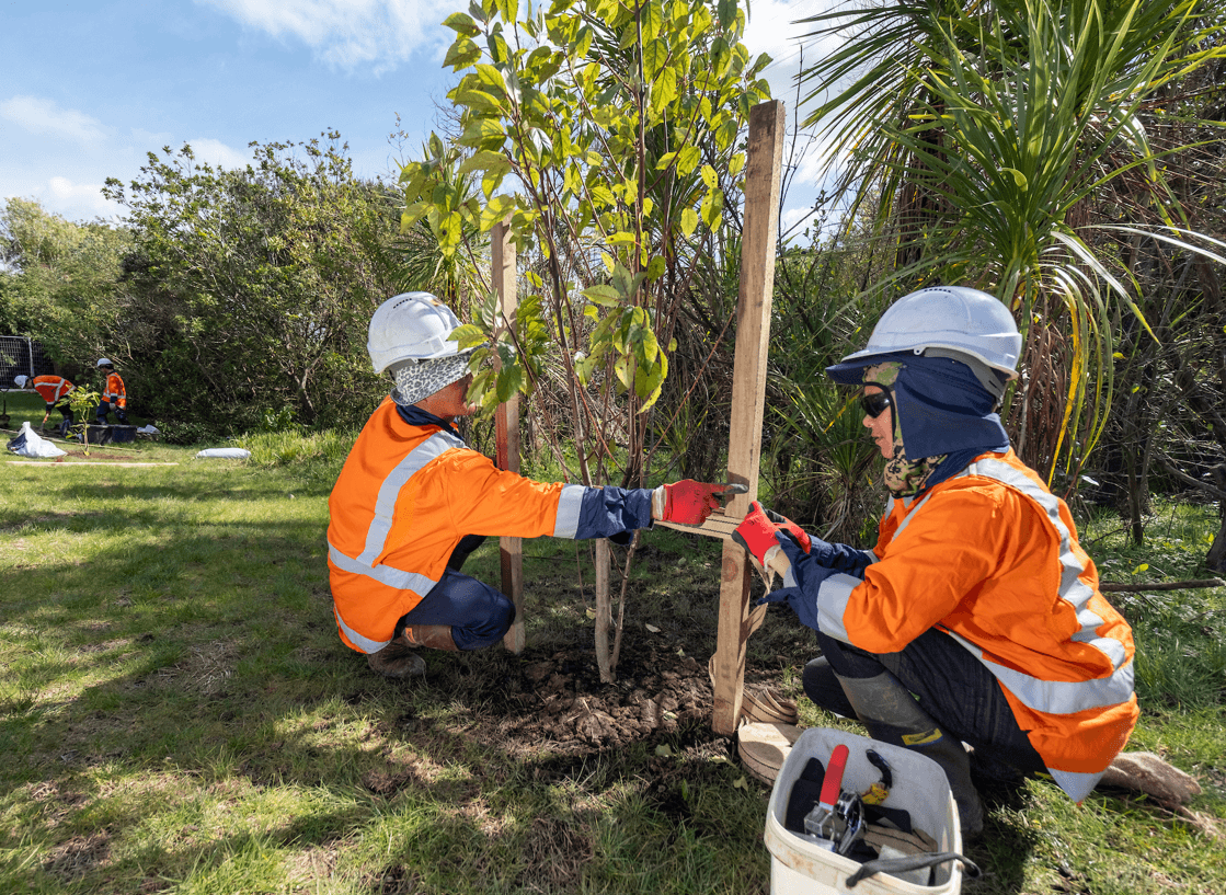 CI_reinstatement_team_underway_with_new_planting.png