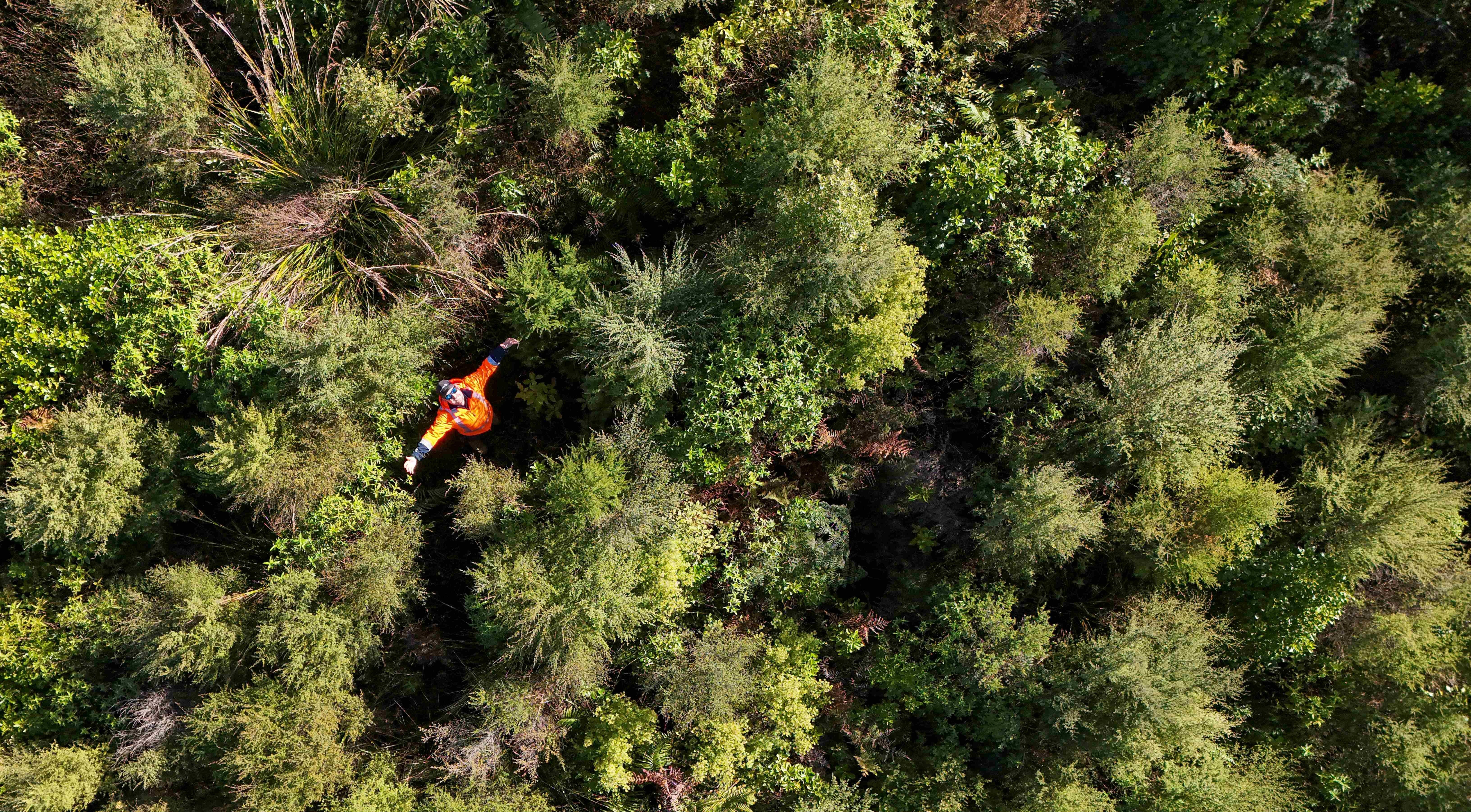 image for Latest newsletter