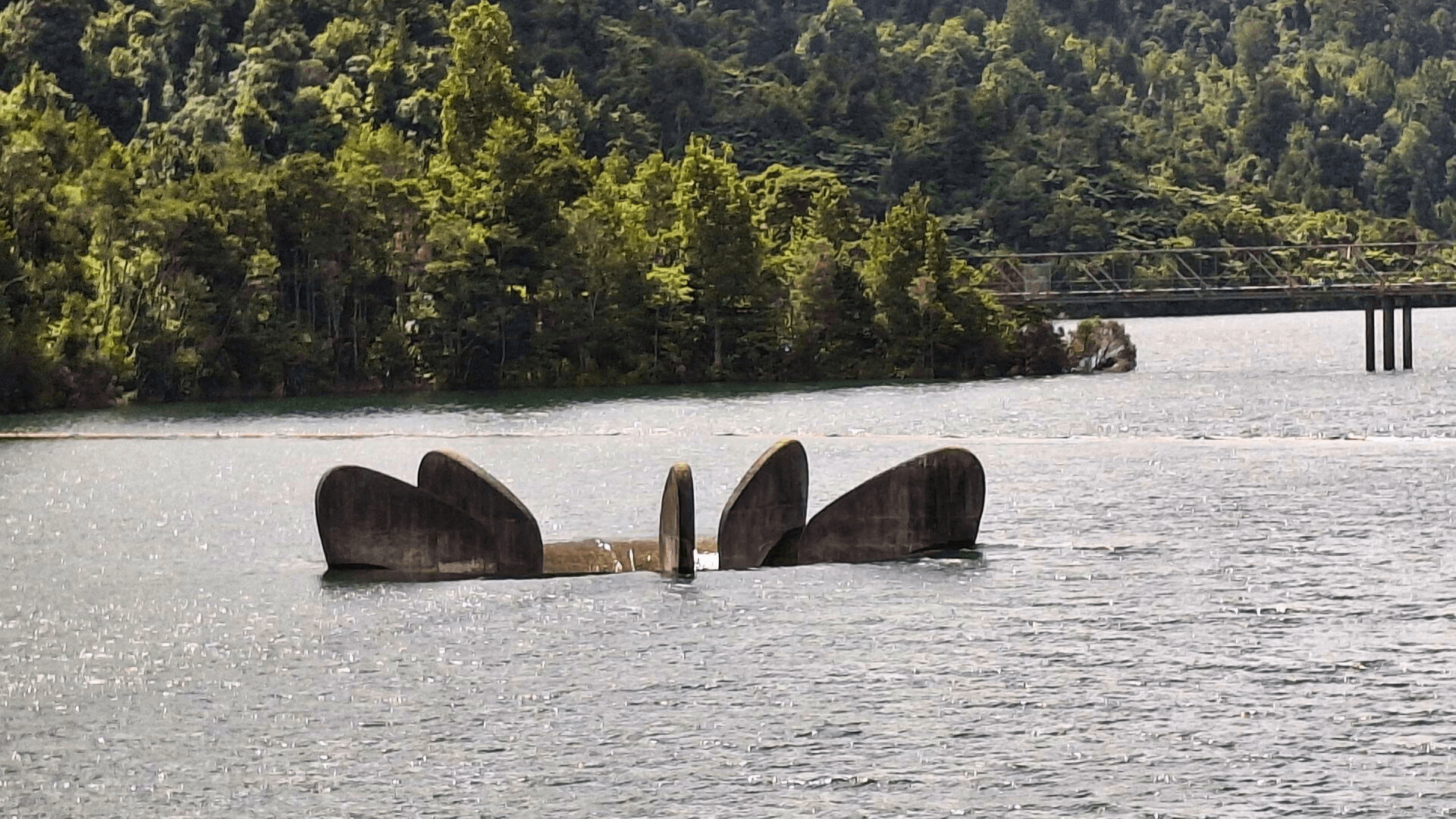 'Every drop counts': Watercare reminds Aucklanders to use water wisely this summer cover