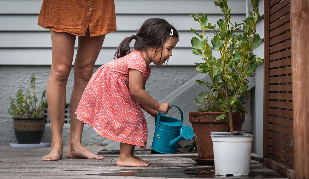 Small girl watering plant.