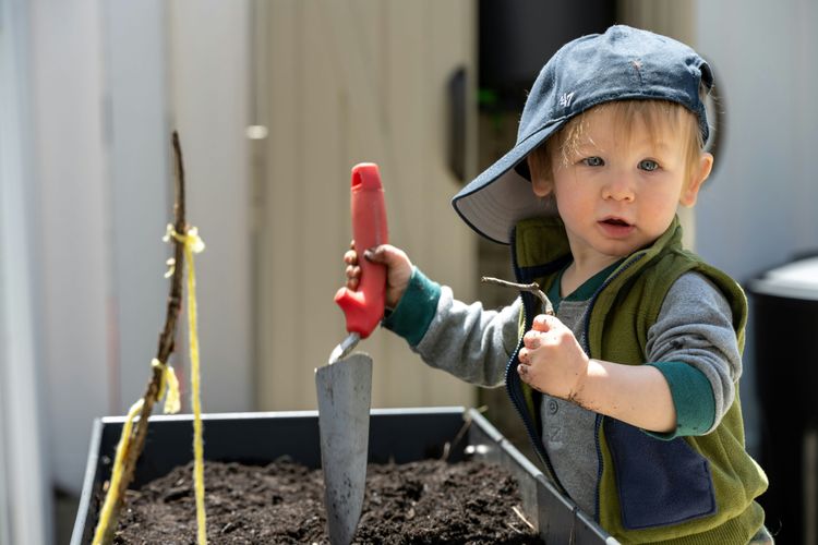 Boy in vegetable garden
