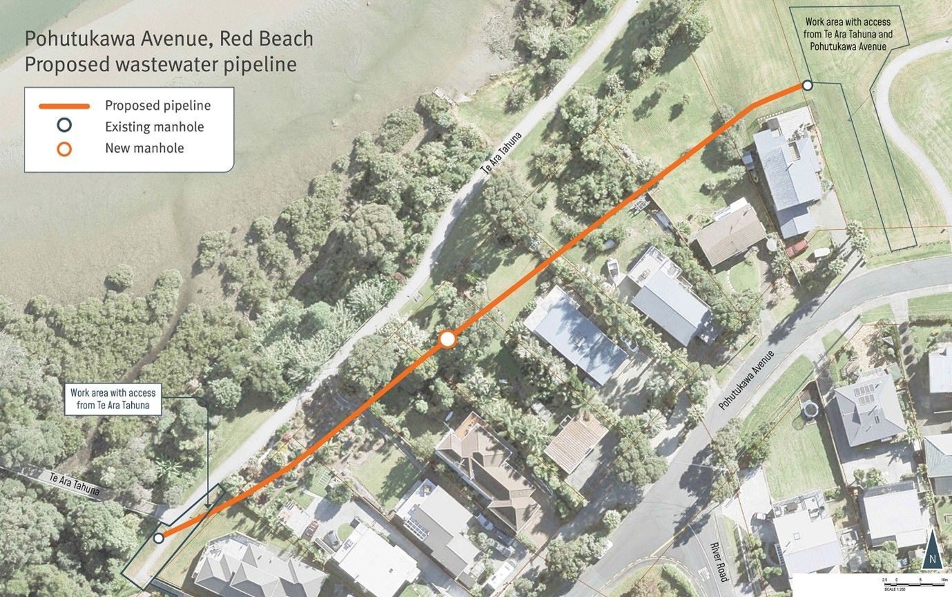 pohutukawa_ave.jpg