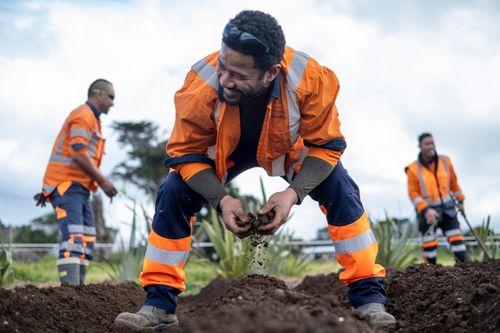 Volunteering with Te Ahiwaru to prepare a vegetable garden at Ihumātao in 2021