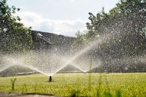 A lawn with sprinklers