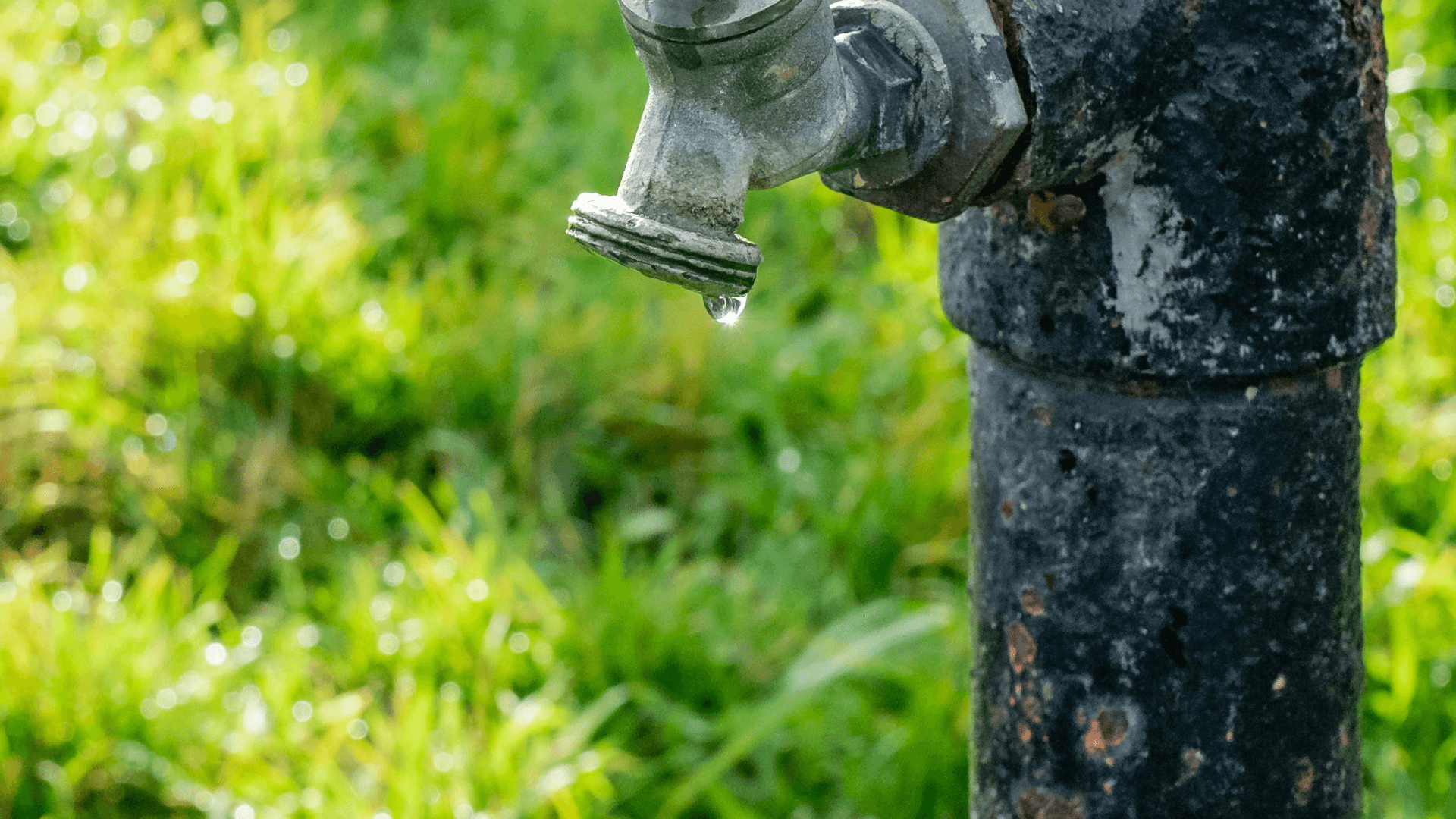 image for Let's be waterwise