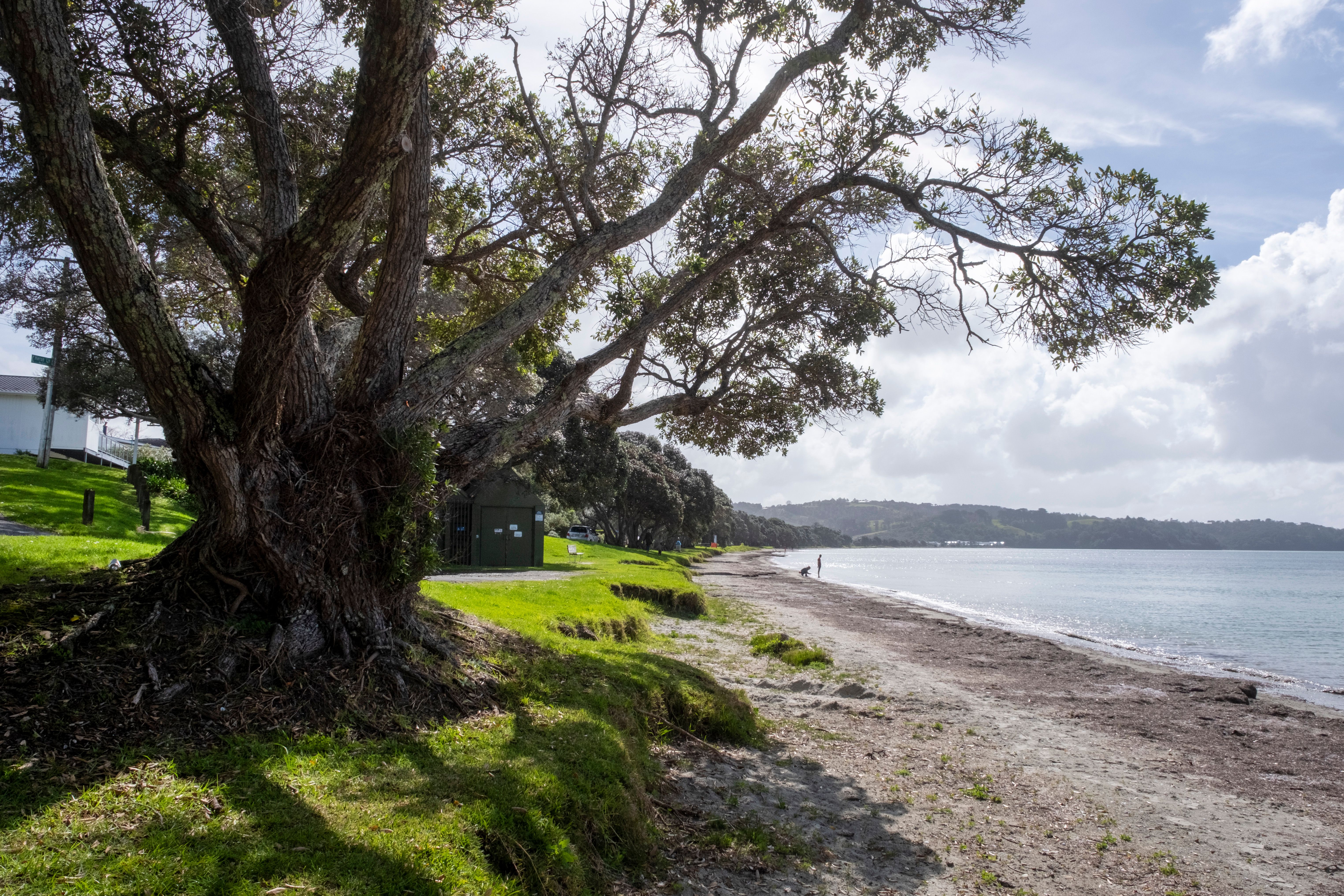 watercare_algies_bay_27_aug_2024_jpg